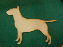 british bull terrier 1