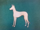 podencoiberian 1